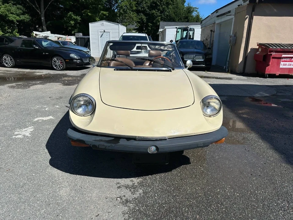 1982 Alfa Romeo Series 2 - Image 2 of 21