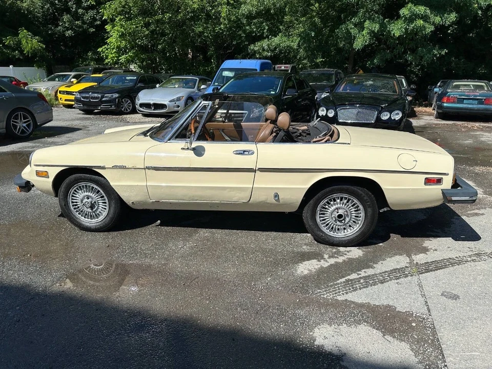 1982 Alfa Romeo Series 2 - Image 8 of 21