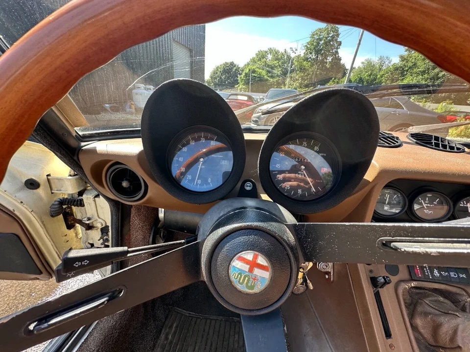 1982 Alfa Romeo Series 2 - Image 20 of 21