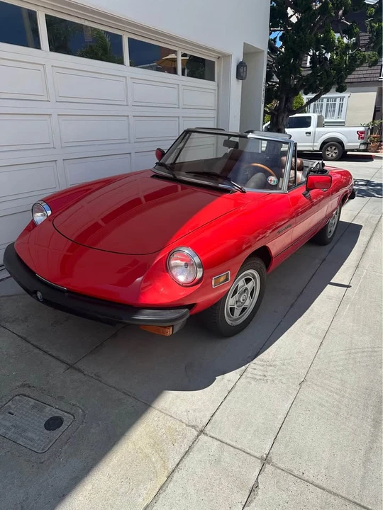 1982 Alfa Romeo Series 2 - Image 13 of 17