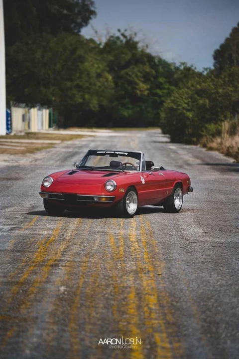 1982 Alfa Romeo Series 2 - Image 8 of 13