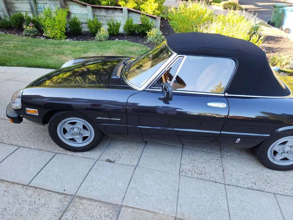 1982 Alfa Romeo Series 2 - Image 6 of 14