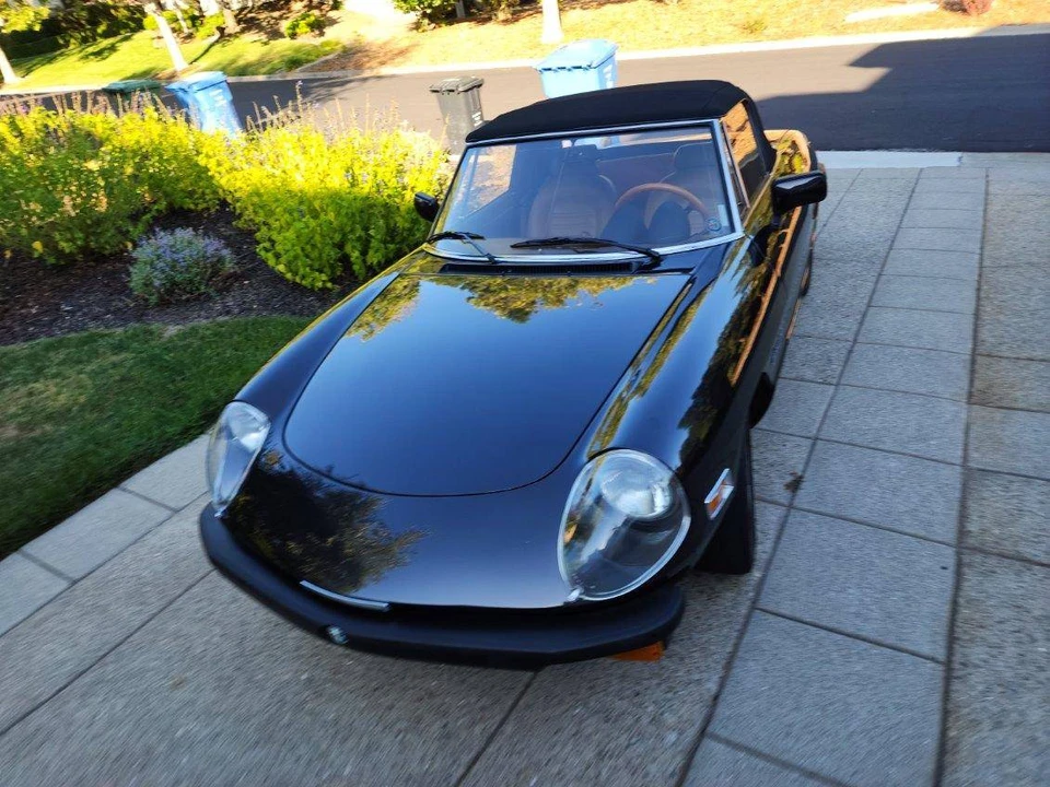 1982 Alfa Romeo Series 2 - Image 5 of 14