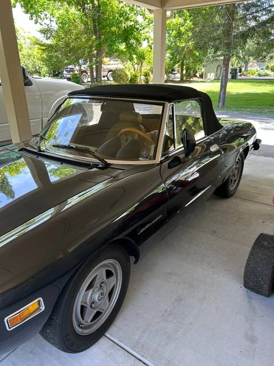 1982 Alfa Romeo Series 2 - Image 3 of 14
