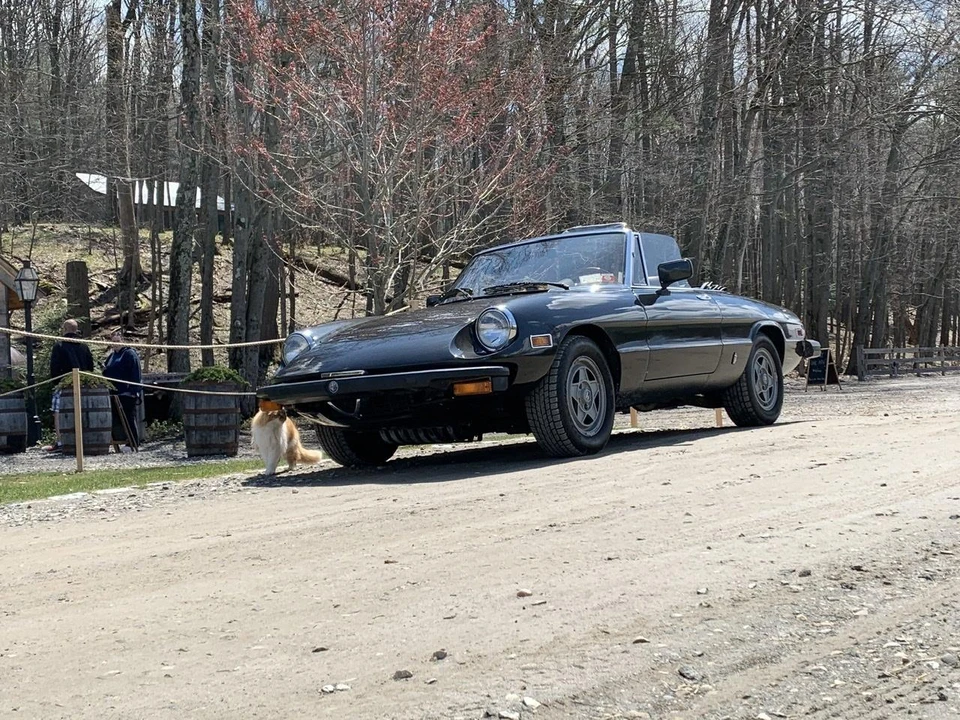 1982 Alfa Romeo Series 3 - Image 31 of 31