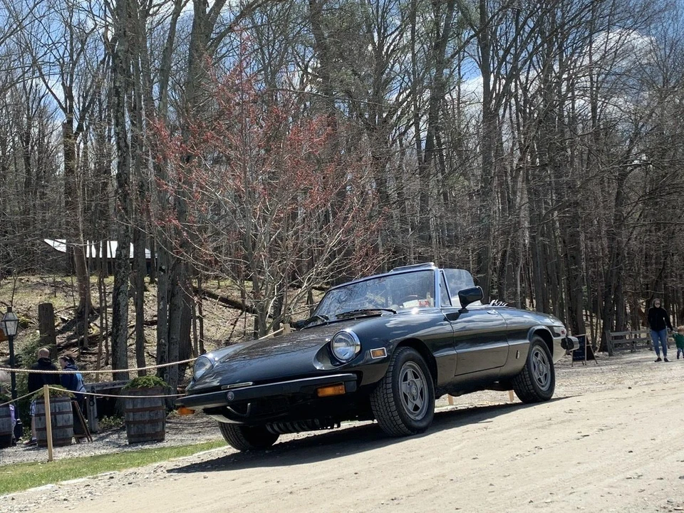 1982 Alfa Romeo Series 3 - Image 30 of 31