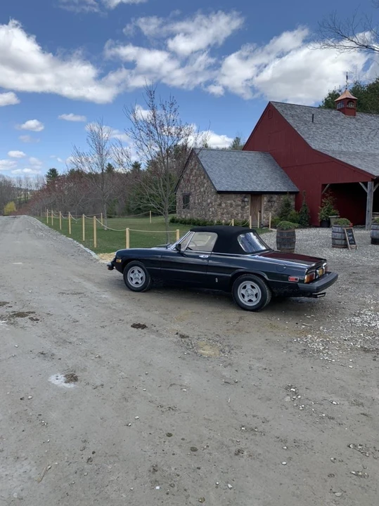 1982 Alfa Romeo Series 3 - Image 19 of 31