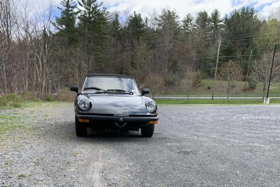 1982 Alfa Romeo Series 3 - Image 5 of 31