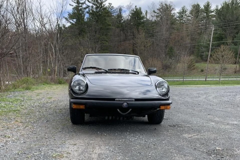 1982 Alfa Romeo Series 3 - Image 14 of 31