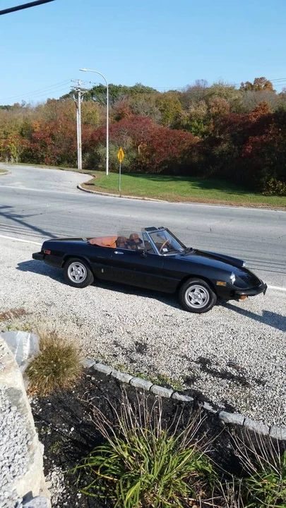 1982 Alfa Romeo Series 2 - Image 5 of 5