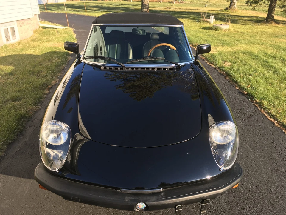 1982 Alfa Romeo Series 3 - Image 15 of 31