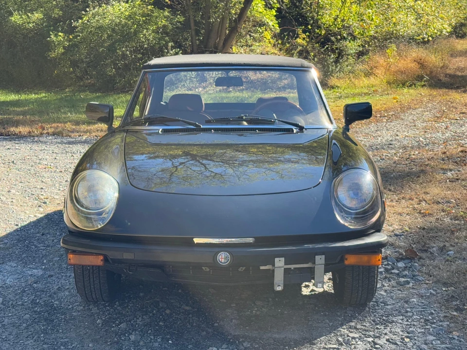 1982 Alfa Romeo Series 2 - Image 23 of 31