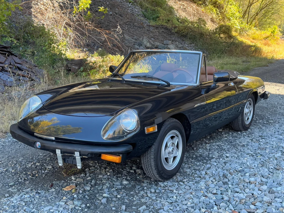 1982 Alfa Romeo Series 2 - Image 7 of 31