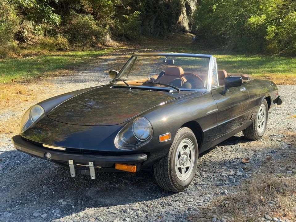 1982 Alfa Romeo Series 2 - Image 8 of 31