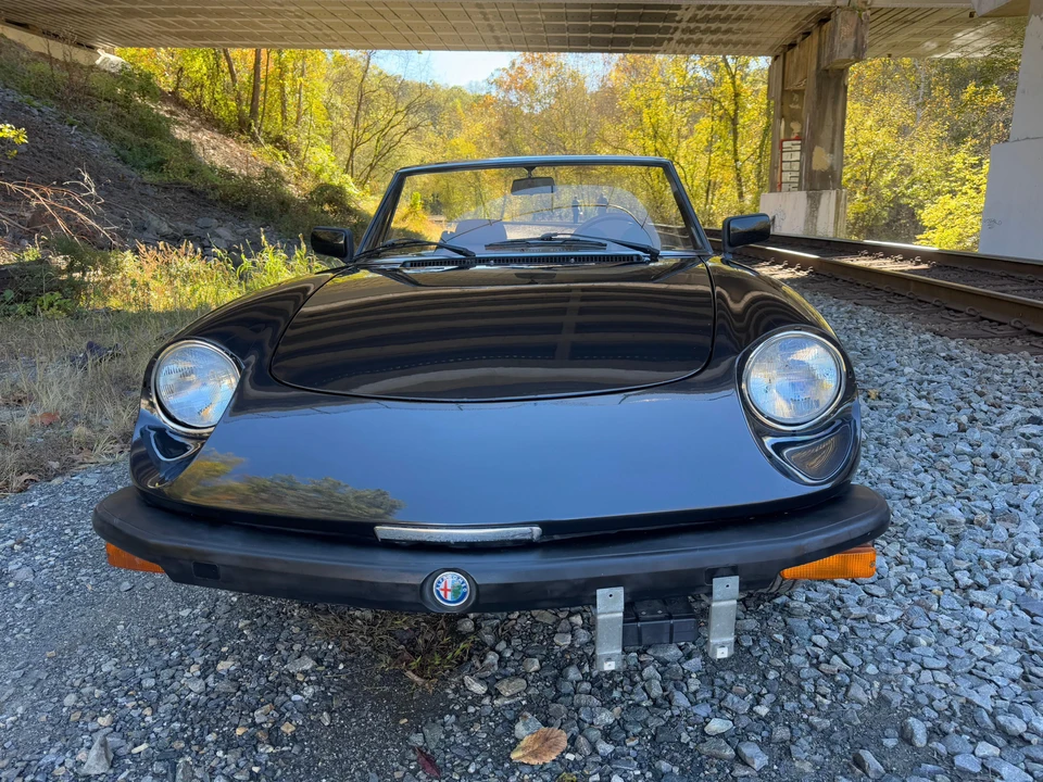1982 Alfa Romeo Series 2 - Image 6 of 31