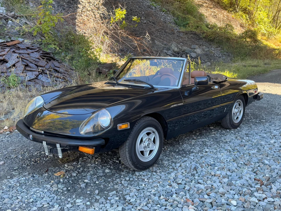 1982 Alfa Romeo Series 2 - Image 9 of 31