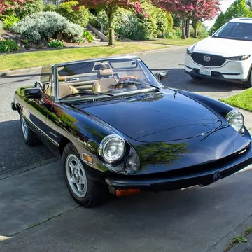 1982 Alfa Romeo Spyder Veloce