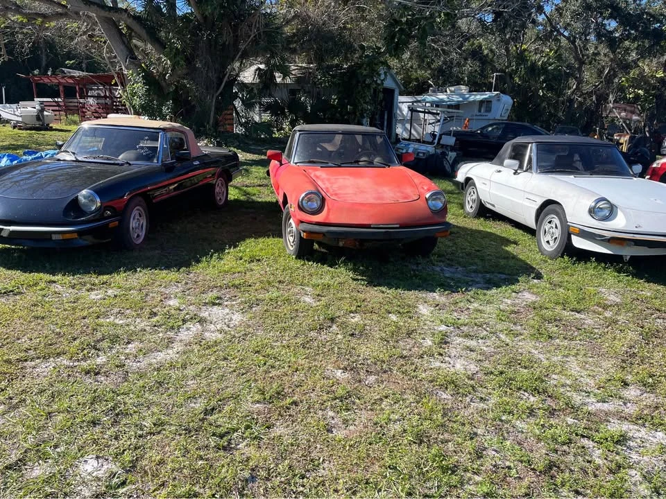 1982 Alfa Romeo 102-Series 2000 - Image 3 of 5