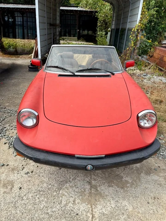 1982 Alfa Romeo Series 3 - Image 9 of 21
