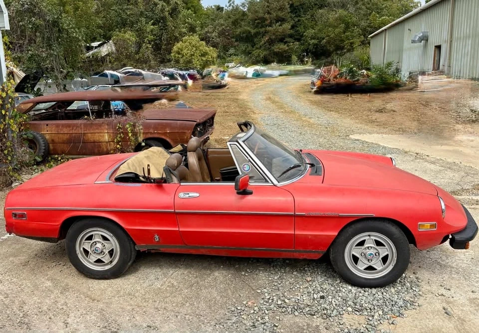 1982 Alfa Romeo Series 3 - Image 7 of 21