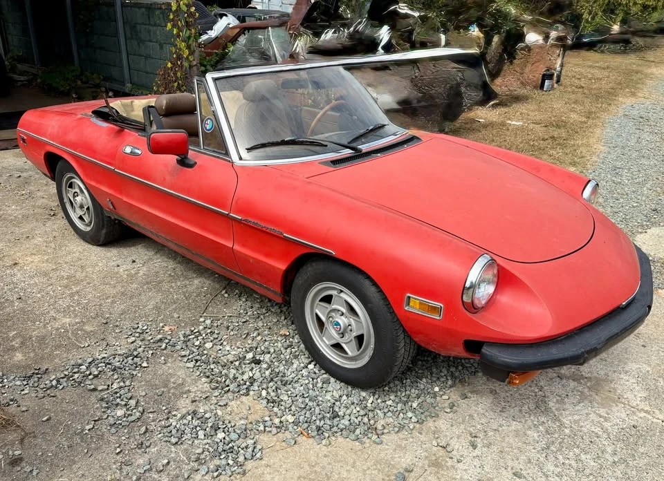 1982 Alfa Romeo Series 3 - Image 8 of 21