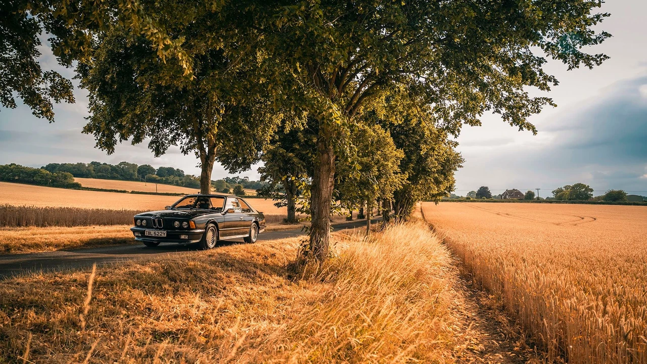 1982 BMW E24 6 Series - Image 12 of 31
