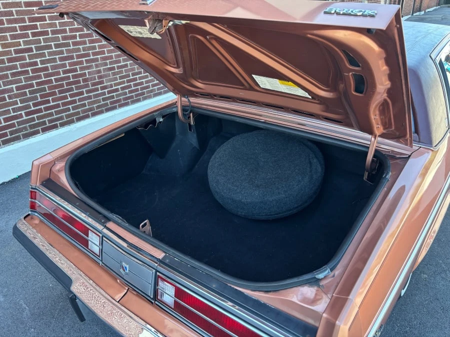 1982 Buick Electra - Image 9 of 10