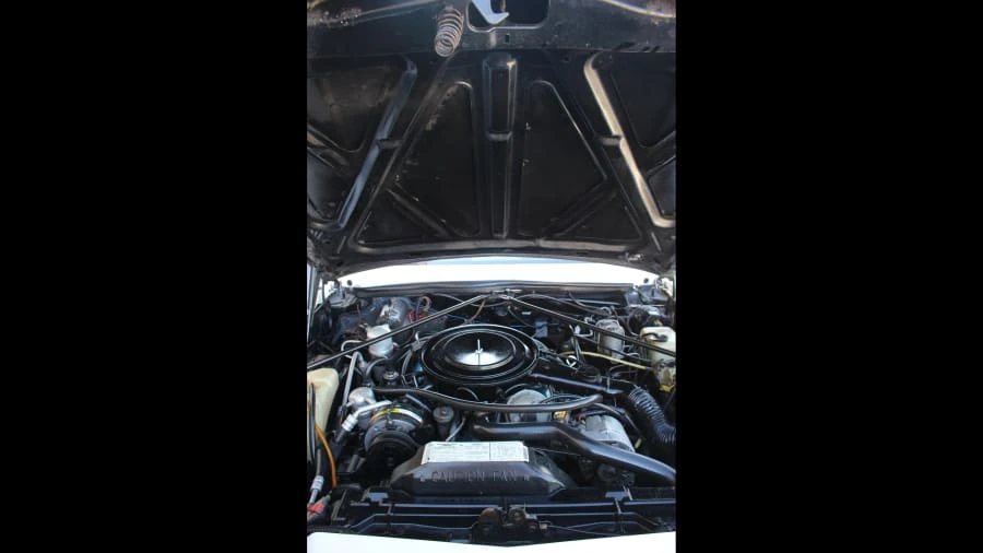 1982 Buick Riviera 4th-7th Gen - Image 4 of 4