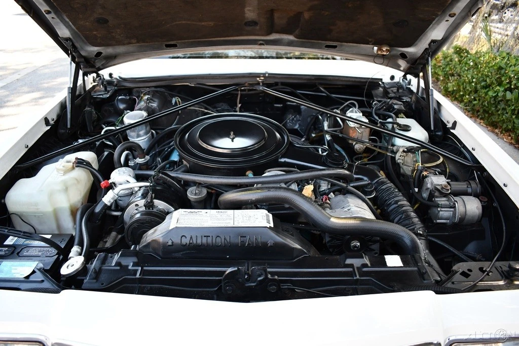 1982 Buick Riviera 4th-7th Gen - Image 14 of 21