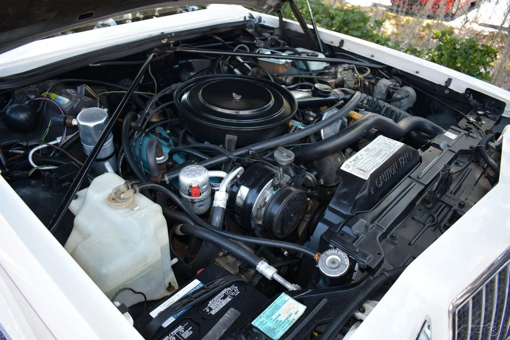 1982 Buick Riviera 4th-7th Gen - Image 16 of 21