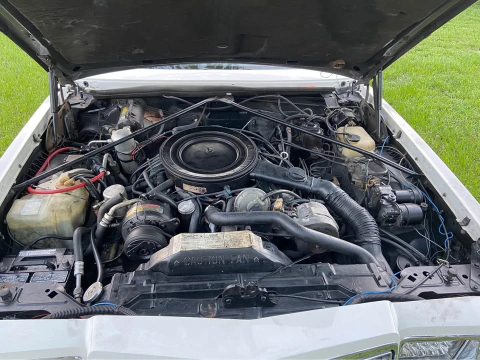 1982 Buick Riviera 4th-7th Gen - Image 6 of 8
