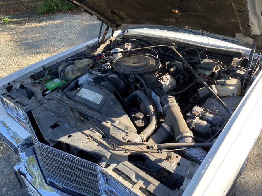 1982 Cadillac Eldorado 10th Gen - Image 20 of 22