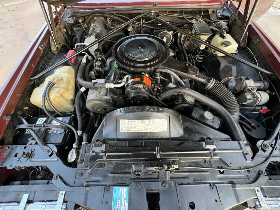 1982 Cadillac Eldorado 10th Gen - Image 11 of 11