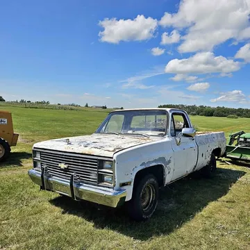 1982 Chevrolet 1500 Regular Cab