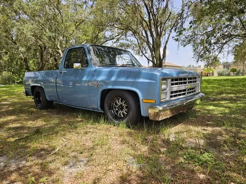 1982 Chevrolet C10 LS Swap