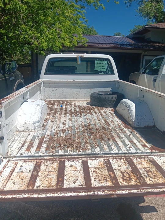 1982 Chevrolet C/K 3rd Gen - Image 4 of 10