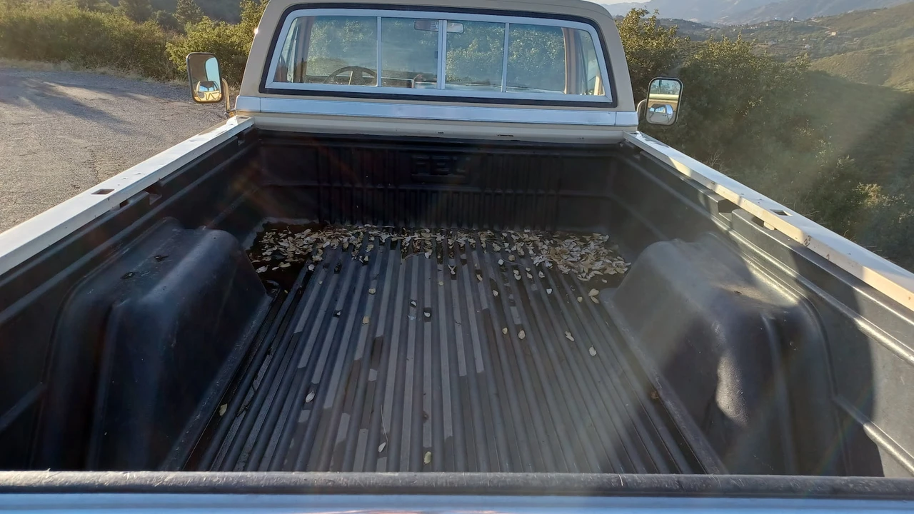 1982 Chevrolet C/K 3rd Gen - Image 9 of 14