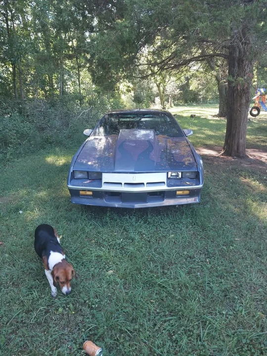 1982 Chevrolet Camaro 3rd Gen - Image 2 of 7