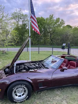 1982 Chevrolet Corvette C3 - Image 2 of 8
