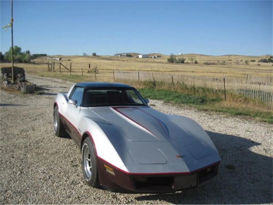 1982 Chevrolet Corvette C3 - Image 10 of 11