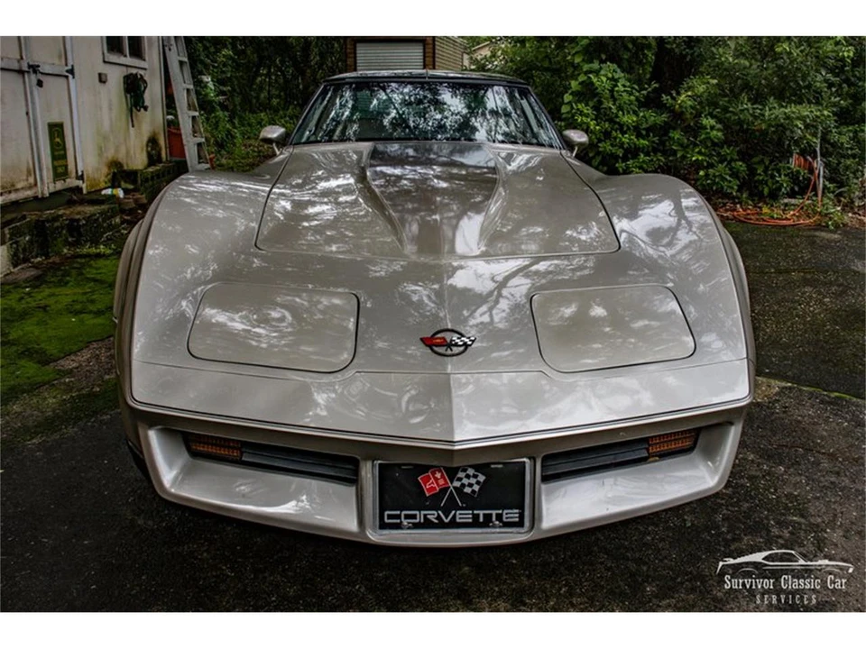 1982 Chevrolet Corvette C3 - Image 3 of 24