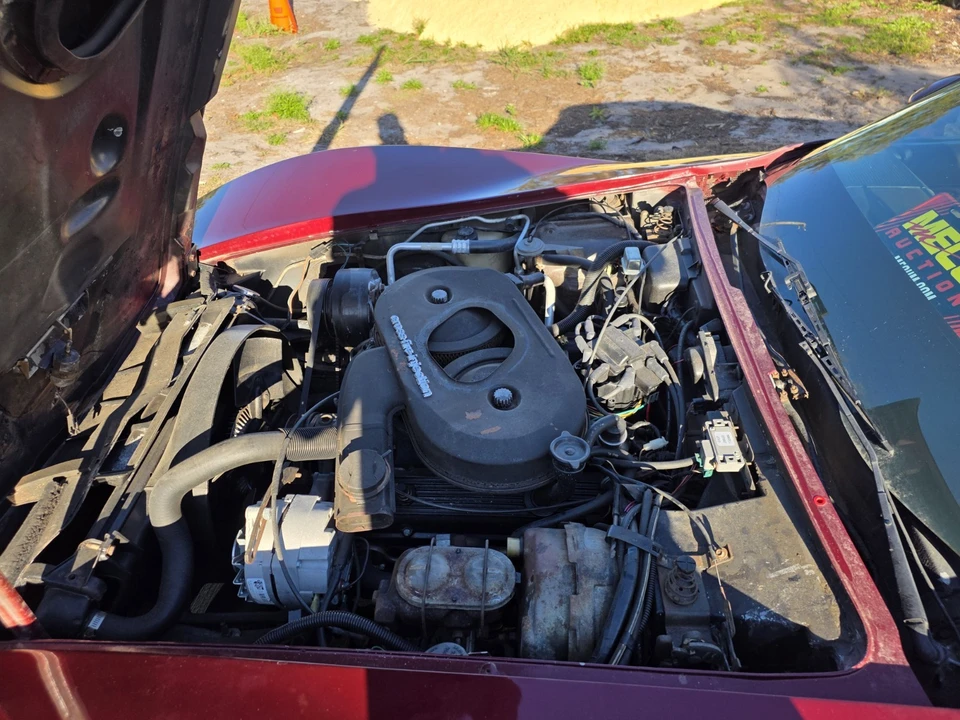 1982 Chevrolet Corvette C3 - Image 2 of 7