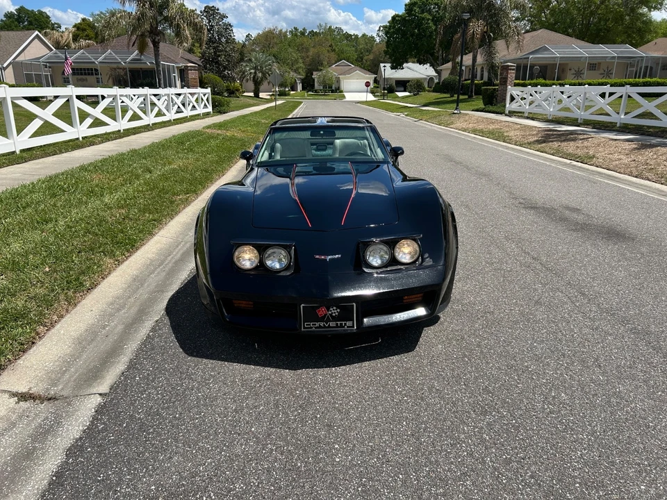 1982 Chevrolet Corvette C3 - Image 19 of 21