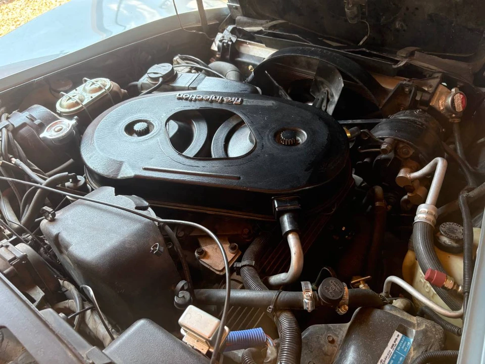 1982 Chevrolet Corvette C3 - Image 15 of 22