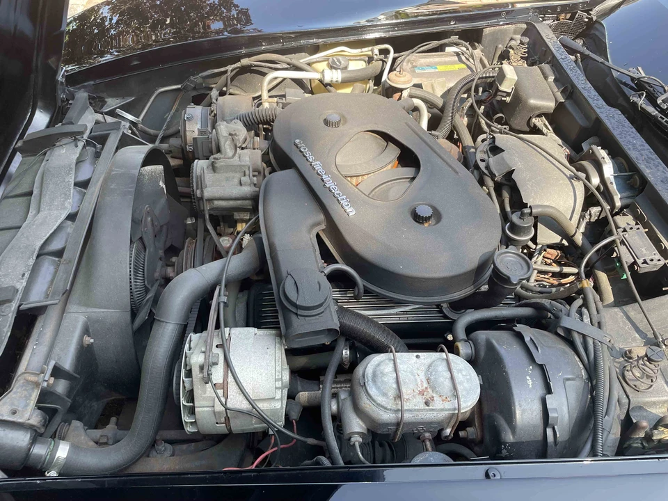 1982 Chevrolet Corvette C3 - Image 31 of 31