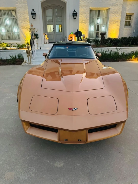 1982 Chevrolet Corvette C3 - Image 13 of 21