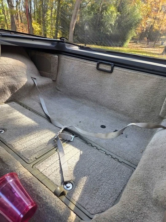 1982 Chevrolet Corvette C3 - Image 9 of 12