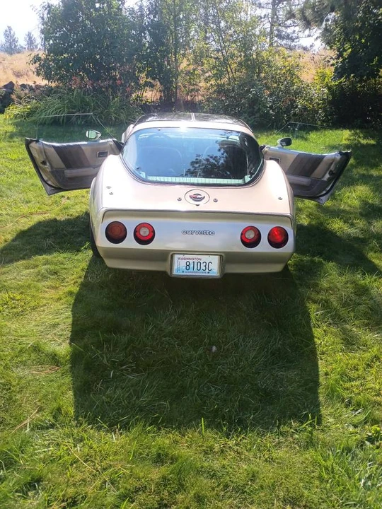 1982 Chevrolet Corvette C3 - Image 11 of 15