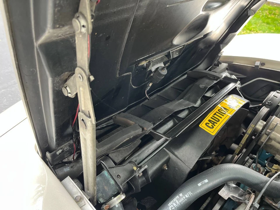 1982 Chevrolet Corvette C3 - Image 22 of 31