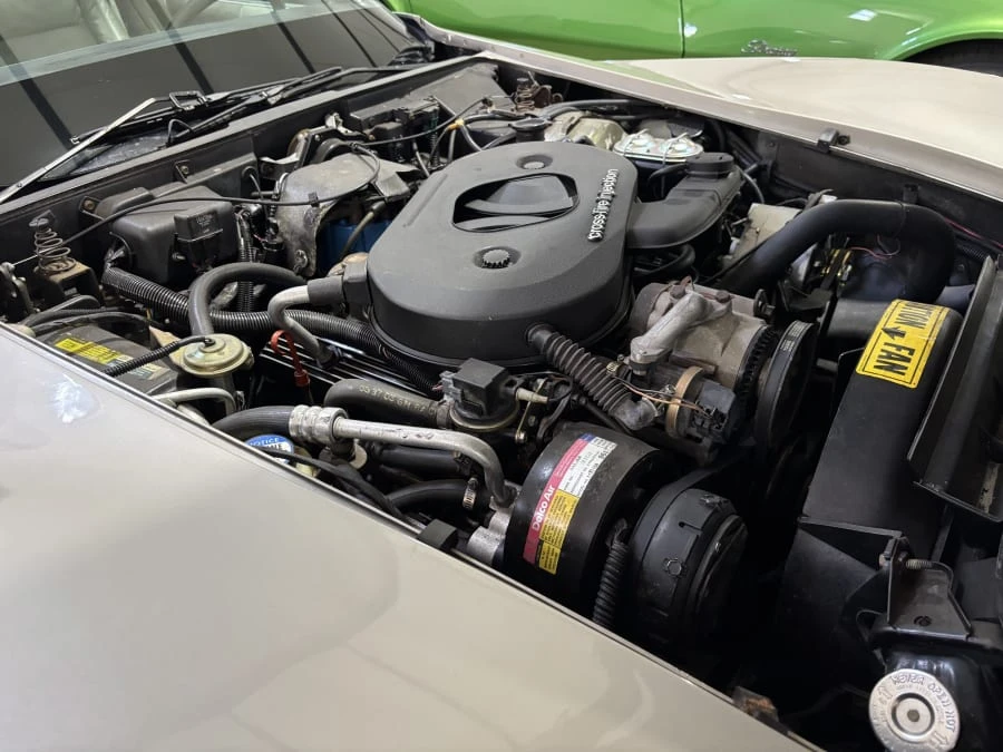 1982 Chevrolet Corvette C3 - Image 17 of 19